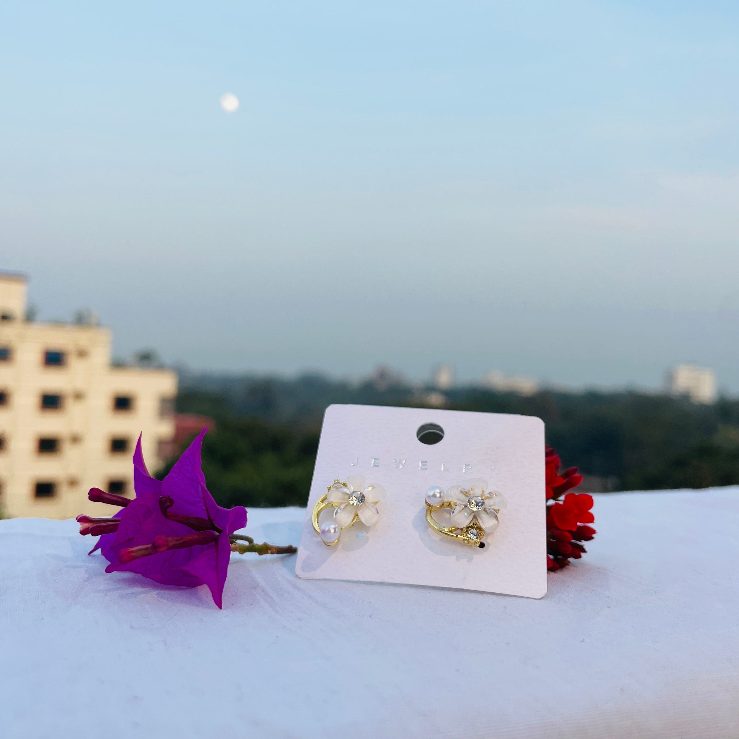 Gifty Premium Earring – Set 8